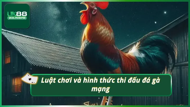 Nguyên tắc thi đấu chọi gà mạng mới nhất