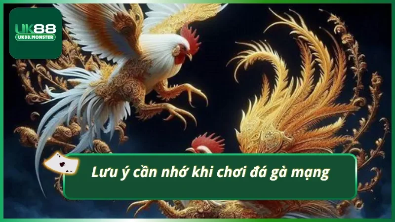 Cá cược đá gà mạng cần lưu ý điều gì?