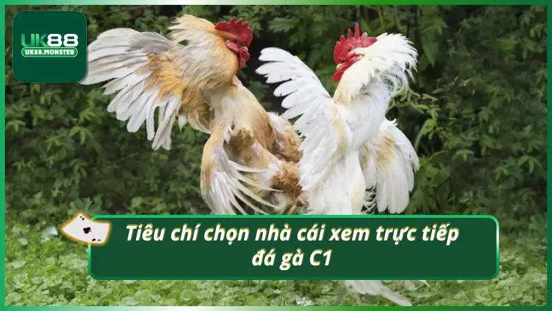 3 tiêu chí đánh giá nhà cái trực tiếp đá gà C1 uy tín